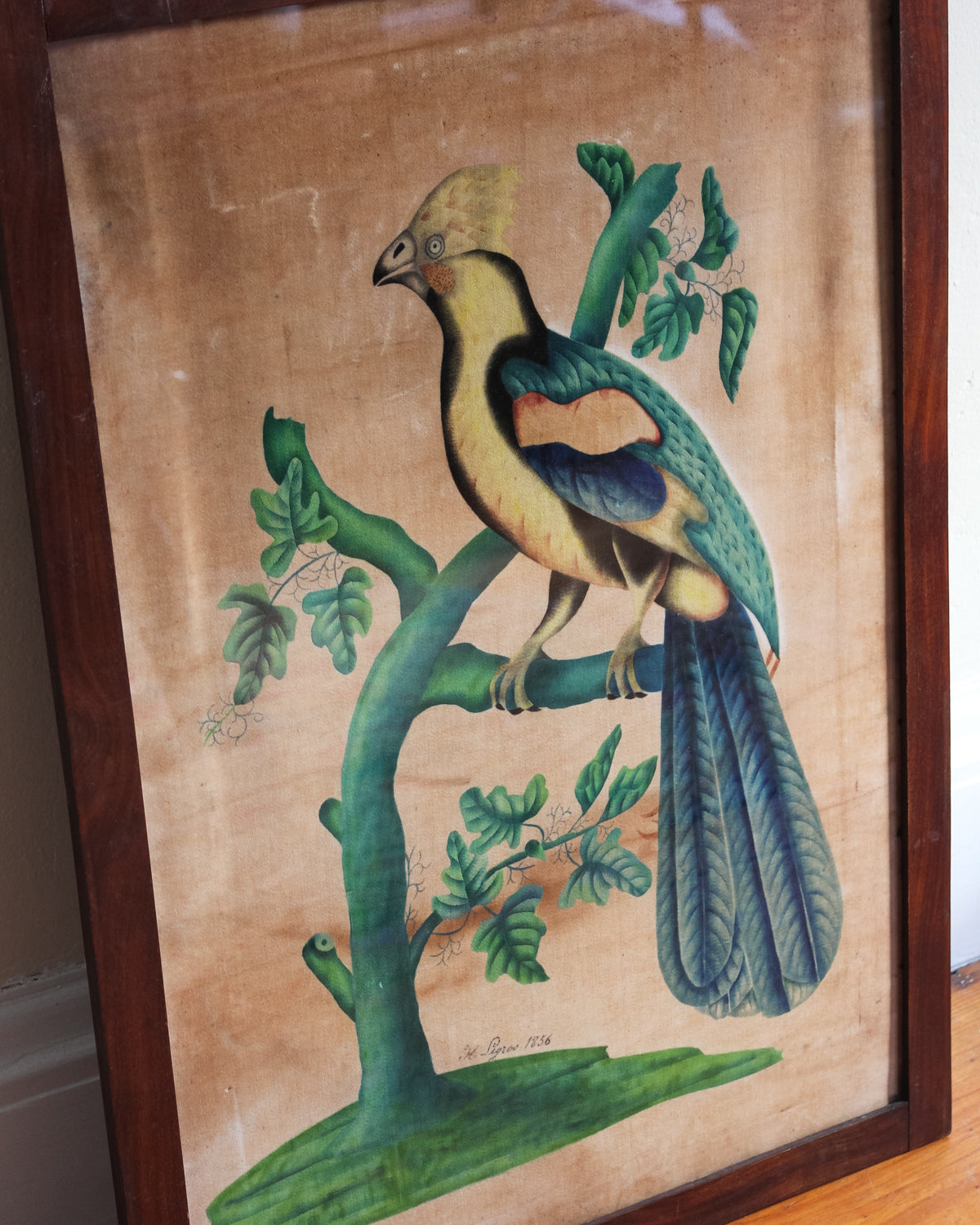 Rare 19th Century Parrot Theorem on Velvet
